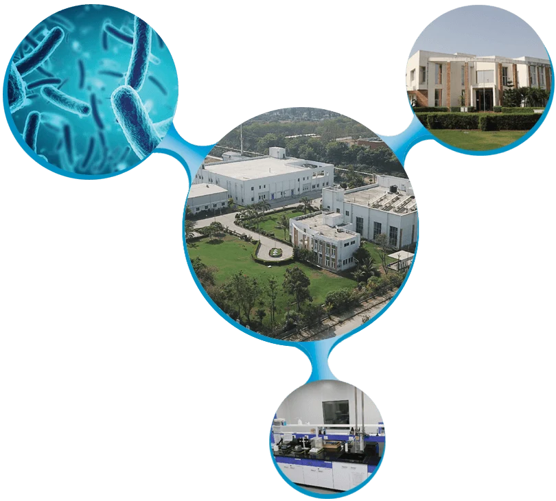 Biotechnology Jobs in Vadodara 2025